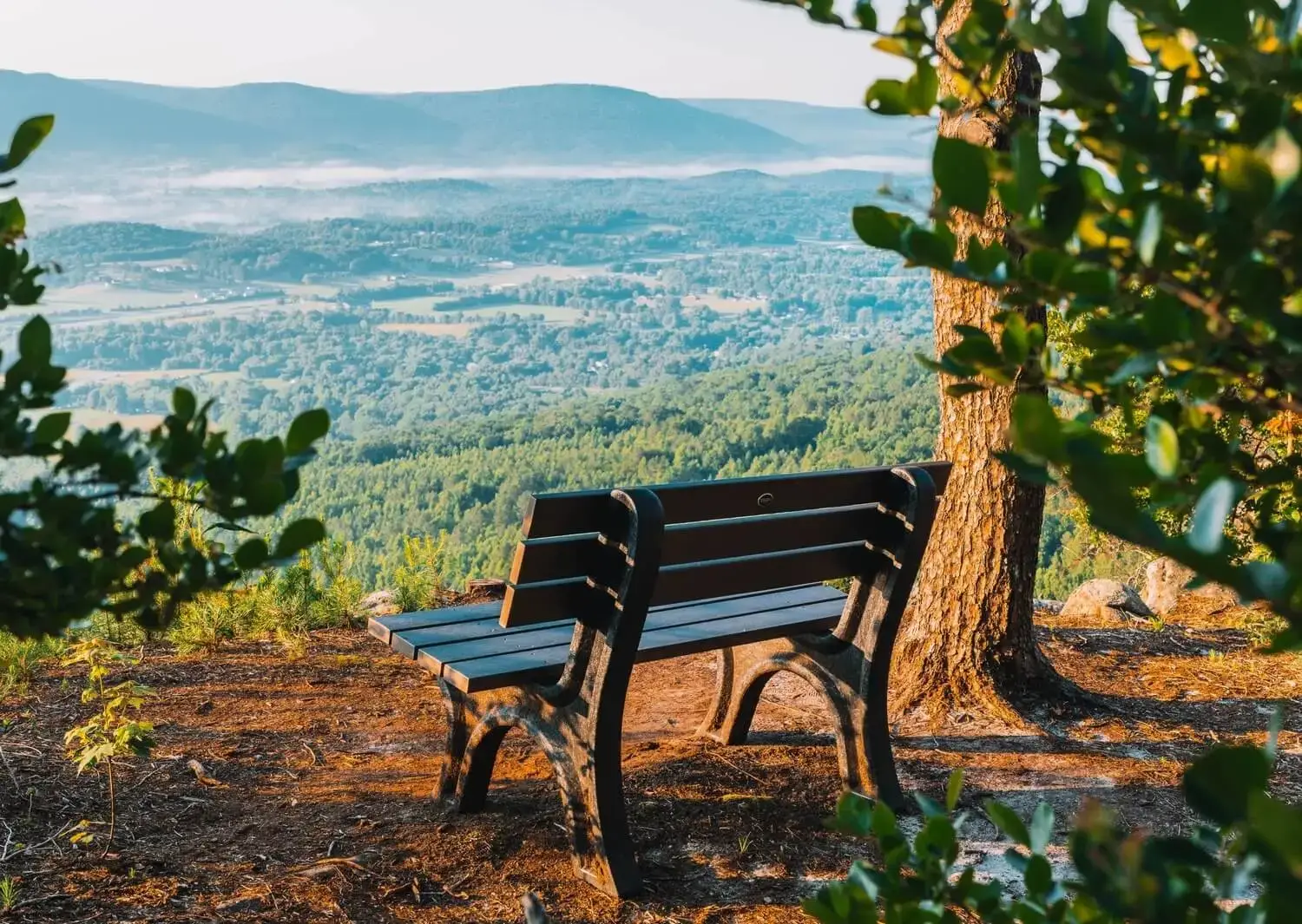 Rejuvenate Your Mind, Body, Heart, and Soul