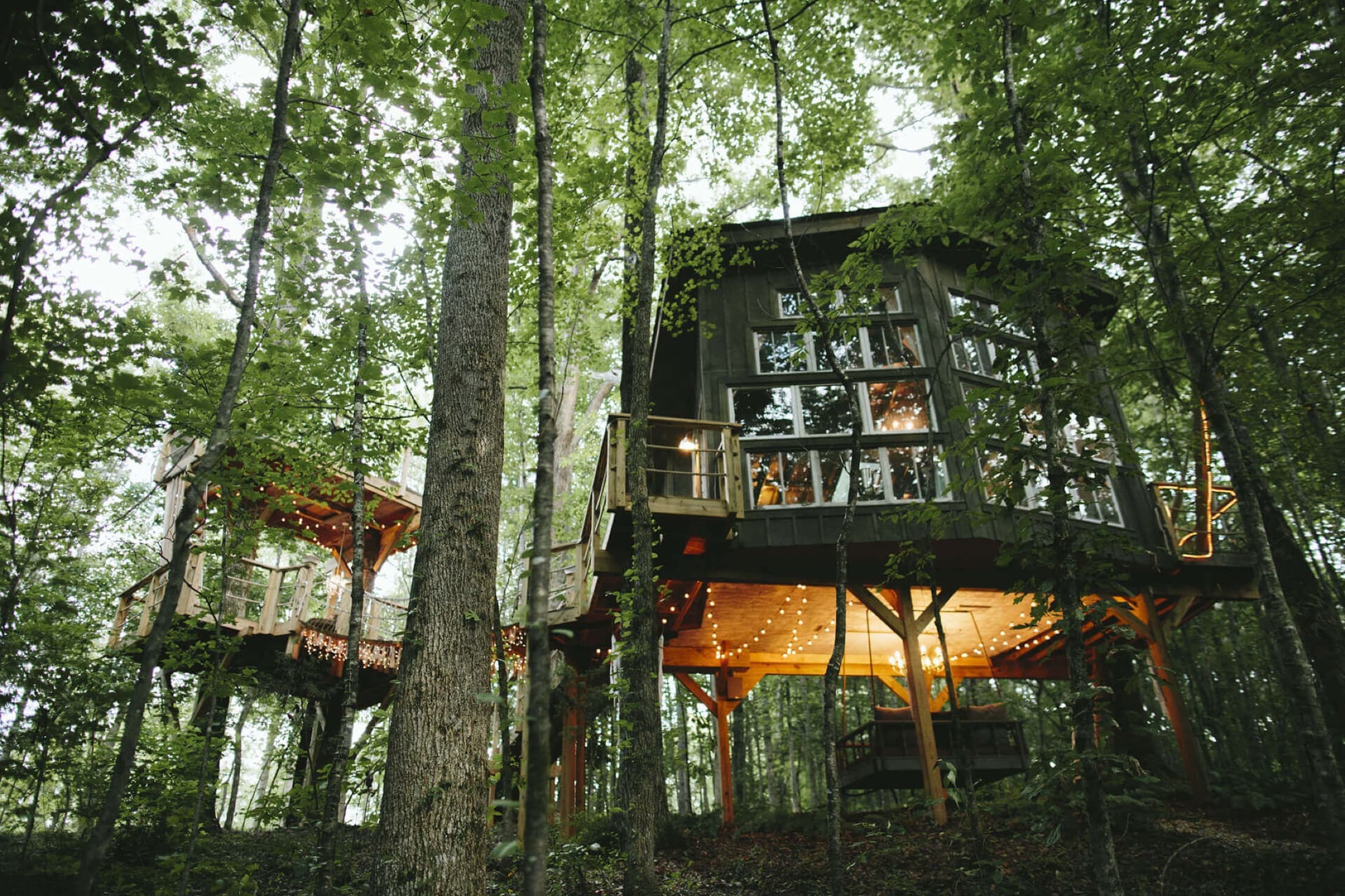 The original treehouse in the forest at BOLT FARM