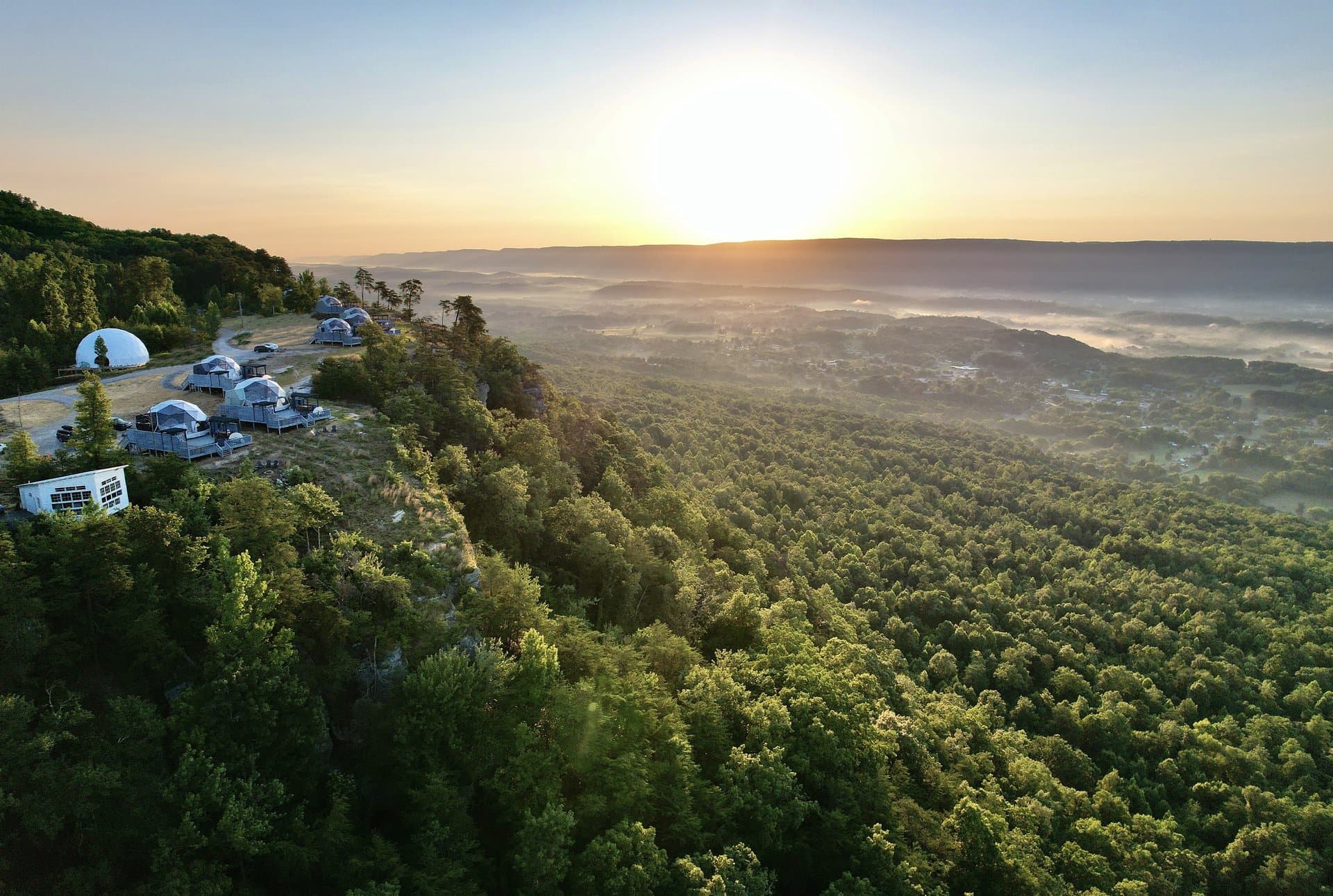 For Leaders & Executives — BOLT FARM Treehouse